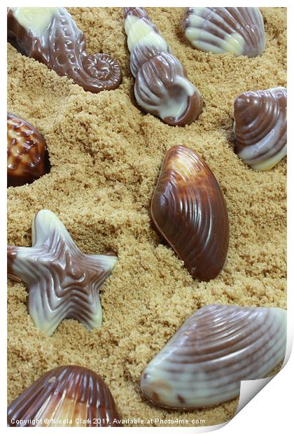 Chocolate Seashells Print by Nicola Clark