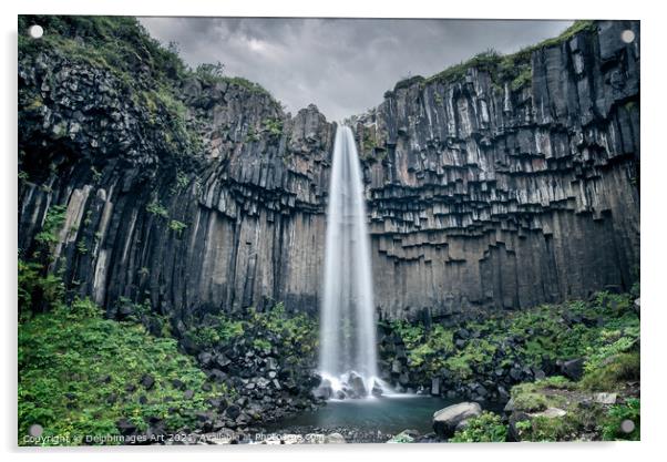 Iceland. Svartifoss scenic waterfall in Skaftafell Acrylic by Delphimages Art