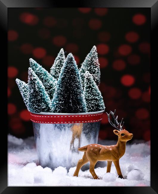 Reindeer With Christmas Trees Framed Print by Amanda Elwell