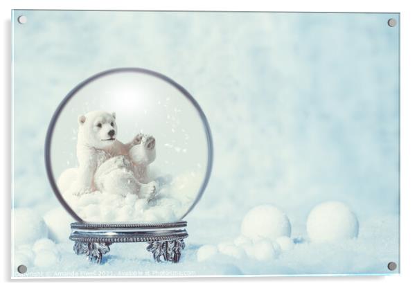 Winter Snow Globe With Polar Bear Acrylic by Amanda Elwell