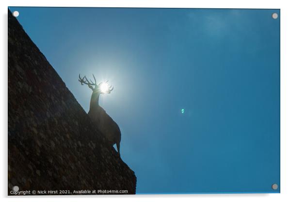Backlit Stag Acrylic by Nick Hirst