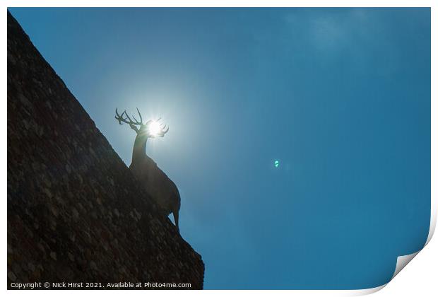 Backlit Stag Print by Nick Hirst
