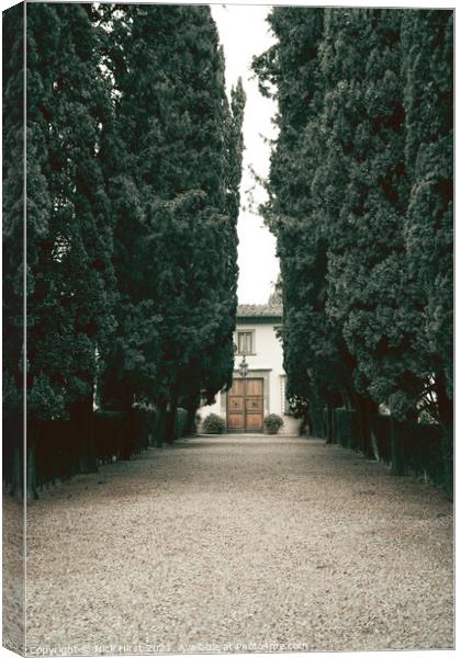 Entrance to the Vineyard Canvas Print by Nick Hirst