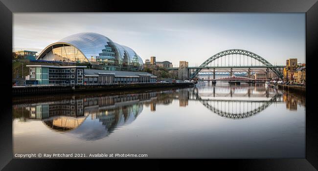 The Sage and the Tyne Bridge Framed Print by Ray Pritchard