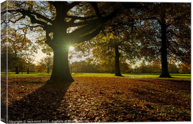 Autumnal Carpet Canvas Print by Nick Hirst
