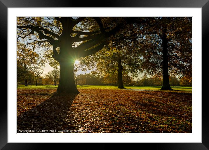 Autumnal Carpet Framed Mounted Print by Nick Hirst