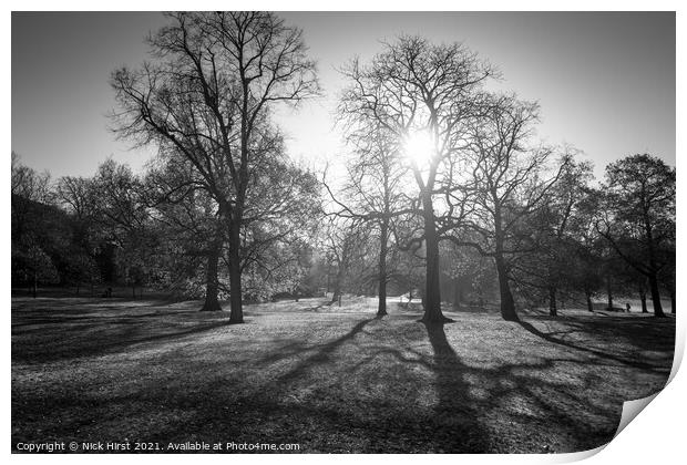 Backlit Trees Print by Nick Hirst