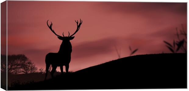 A deer standing in front of a sunset Canvas Print by Guido Parmiggiani