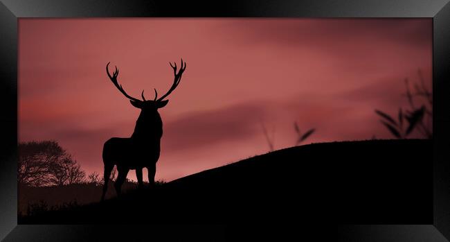 A deer standing in front of a sunset Framed Print by Guido Parmiggiani