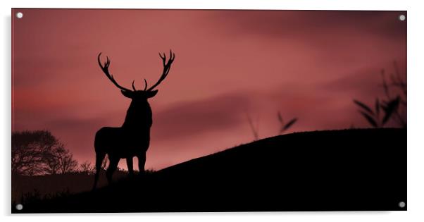 A deer standing in front of a sunset Acrylic by Guido Parmiggiani