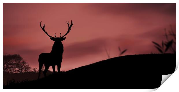 A deer standing in front of a sunset Print by Guido Parmiggiani