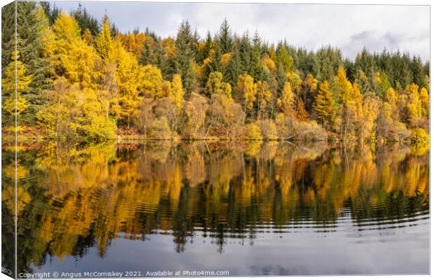 Lochan Spling autumn colours Canvas Print by Angus McComiskey