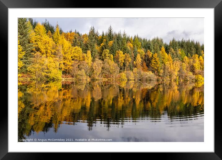 Lochan Spling autumn colours Framed Mounted Print by Angus McComiskey