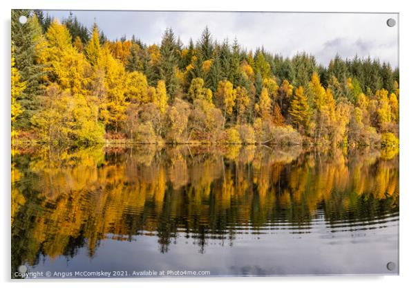 Lochan Spling autumn colours Acrylic by Angus McComiskey