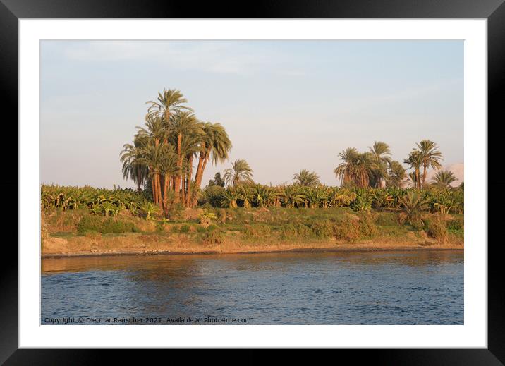 Bank of the River Nile, Egypt Framed Mounted Print by Dietmar Rauscher