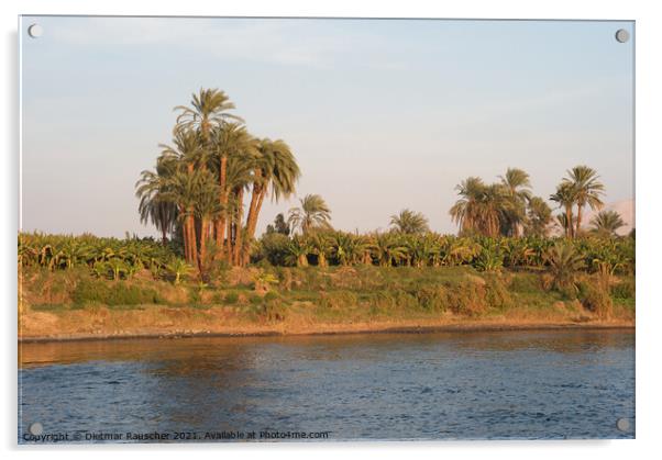 Bank of the River Nile, Egypt Acrylic by Dietmar Rauscher