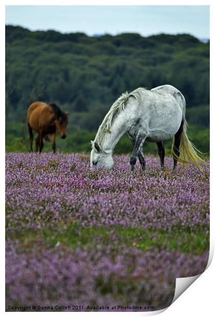 Double Ponies Print by Donna Collett