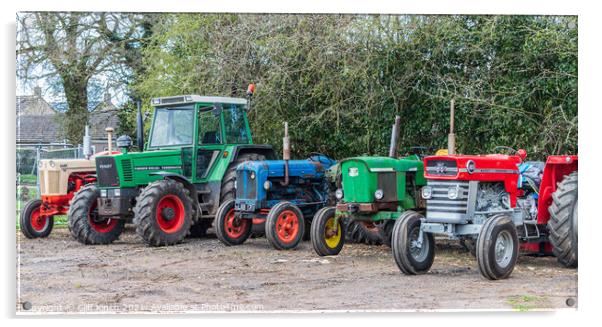 Collection of old tractors Acrylic by Cliff Kinch
