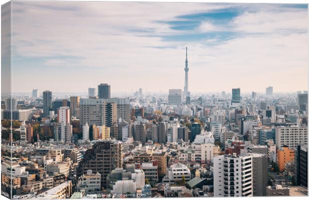 Panorama view of Tokyo city Canvas Print by Sanga Park