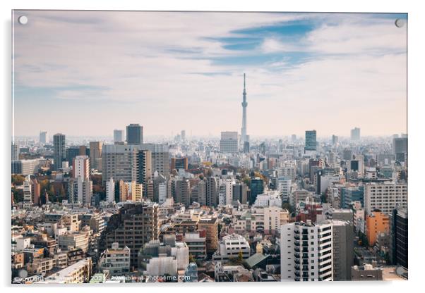 Panorama view of Tokyo city Acrylic by Sanga Park