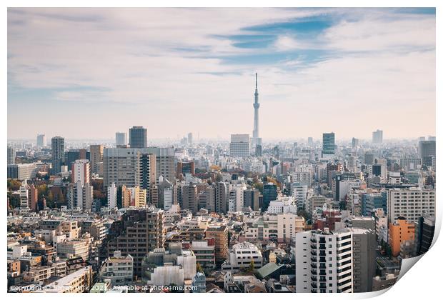 Panorama view of Tokyo city Print by Sanga Park