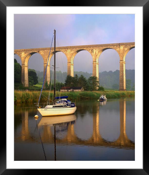 Calstock Viaduct & River Tamar Framed Mounted Print by Darren Galpin