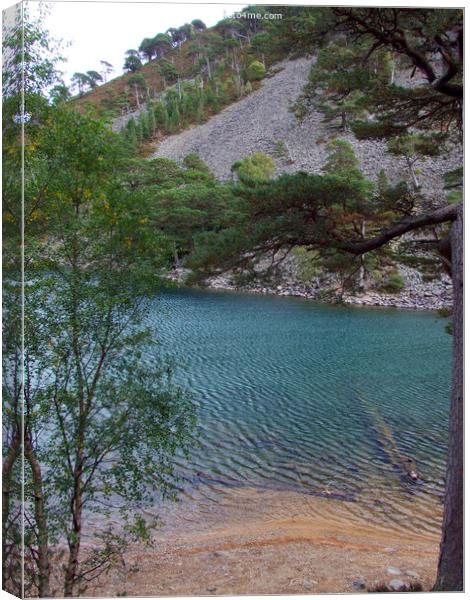 The Green Lochan - An Lochan Uaine -Cairngorms - S Canvas Print by Phil Banks