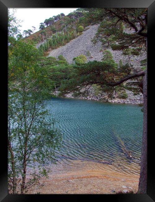 The Green Lochan - An Lochan Uaine -Cairngorms - S Framed Print by Phil Banks