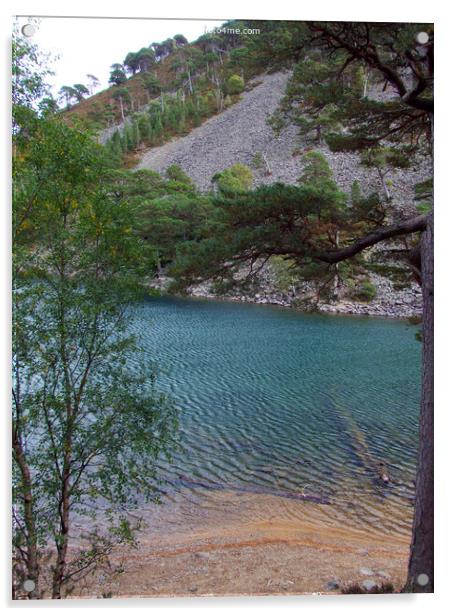 The Green Lochan - An Lochan Uaine -Cairngorms - S Acrylic by Phil Banks