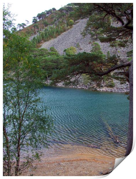 The Green Lochan - An Lochan Uaine -Cairngorms - S Print by Phil Banks