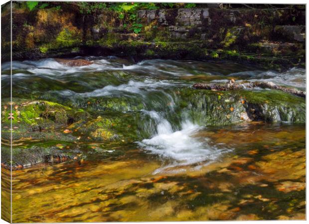 Flowing Mountain Water Canvas Print by Clive Eariss