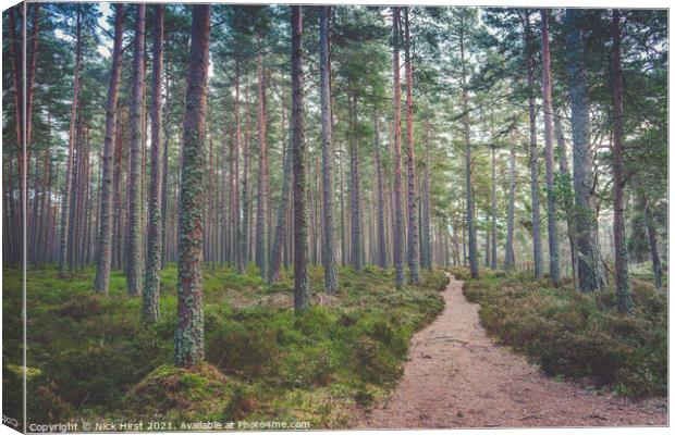 Path through the Woods Canvas Print by Nick Hirst