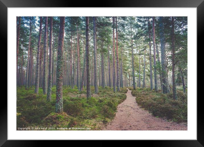Path through the Woods Framed Mounted Print by Nick Hirst