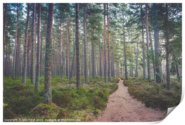Path through the Woods Print by Nick Hirst