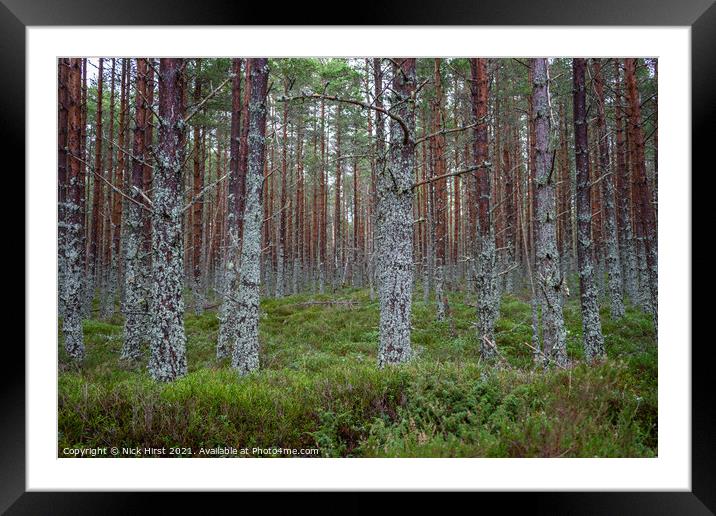 Lost in the Woods Framed Mounted Print by Nick Hirst