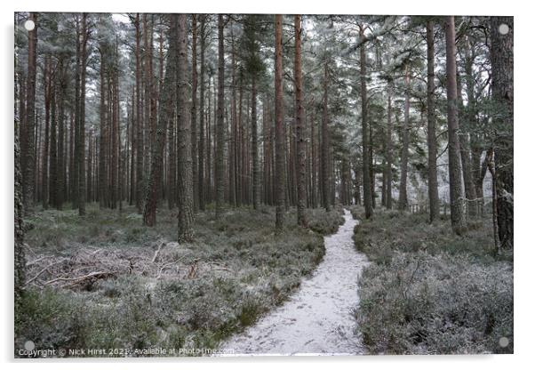 Winter Path Acrylic by Nick Hirst