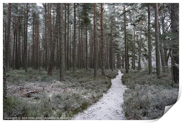 Winter Path Print by Nick Hirst