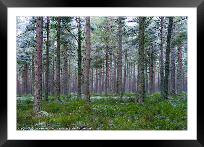 Frosted Forest Framed Mounted Print by Nick Hirst