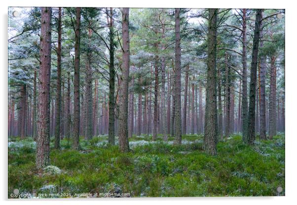 Frosted Forest Acrylic by Nick Hirst