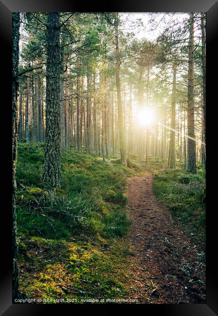 Sunrise over the Path Framed Print by Nick Hirst