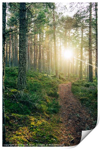 Sunrise over the Path Print by Nick Hirst
