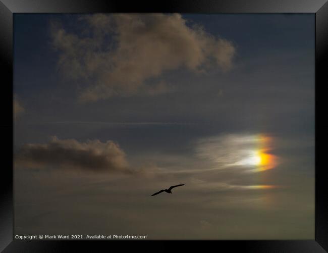 Evening Sky Framed Print by Mark Ward