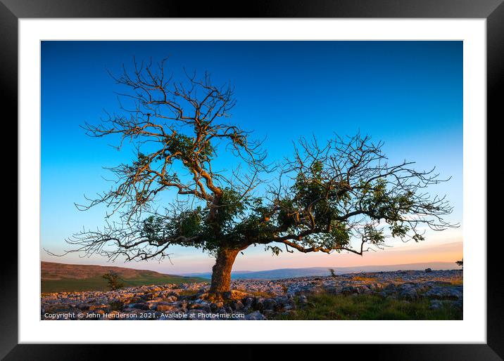 Yorkshire lone tree Framed Mounted Print by John Henderson