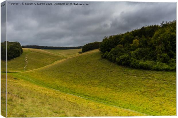 Arundel Park Canvas Print by Stuart C Clarke