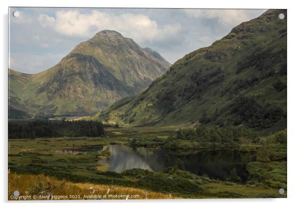 Glen Etiv Scottish Highlands Acrylic by david siggens