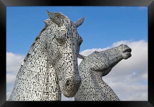 The Kelpies, Falkirk, Scotland Framed Print by Rob Cole