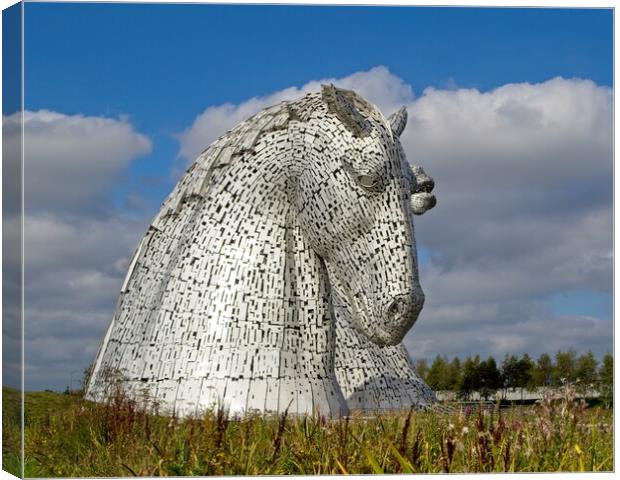 The Kelpies, Falkirk, Scotland Canvas Print by Rob Cole