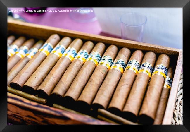 Valencia, Spain - September 8, 2021: Box of Cohiba Cuban cigars. Framed Print by Joaquin Corbalan