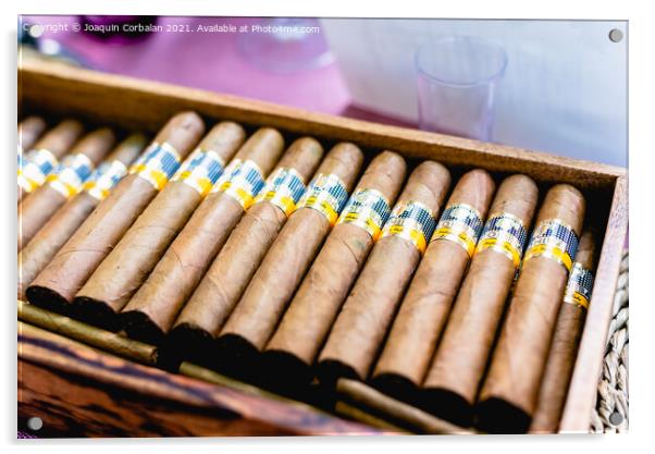 Valencia, Spain - September 8, 2021: Box of Cohiba Cuban cigars. Acrylic by Joaquin Corbalan