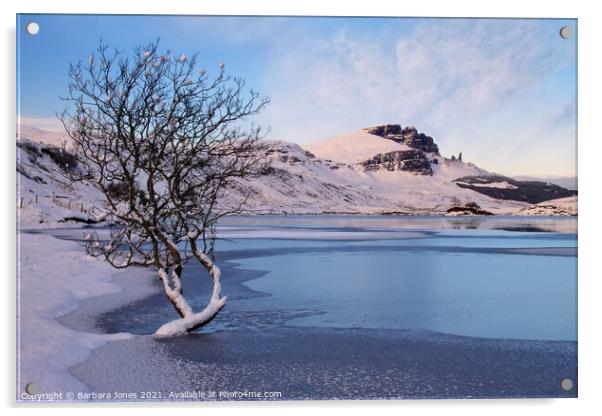 Old Man of Storr Loch Fada in Winter Skye Scotland Acrylic by Barbara Jones
